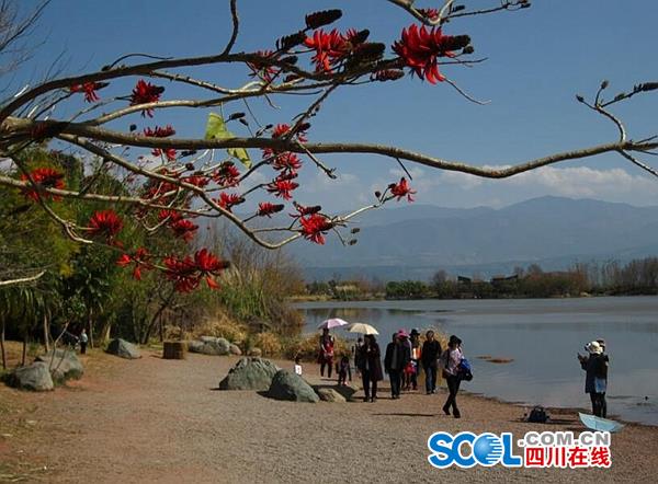 邛海国家湿地公园拟收费