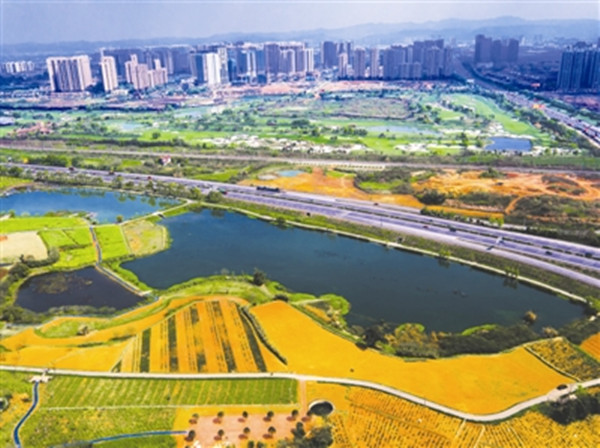 Ȫɽɭֹ԰:ɶ˵ɫ ϰյ̬԰