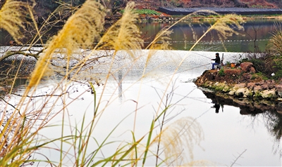 ɶȪɽɭֹ԰ γɡʮ԰