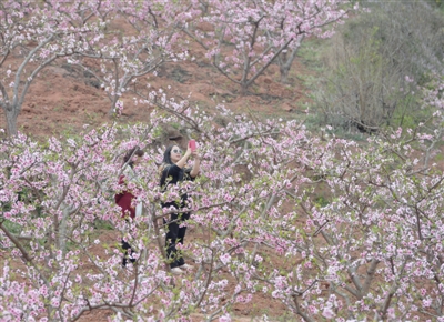 ɶ츮5200Ķ۲ ΪȪɽֲָ